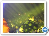 Halloween_2019_27